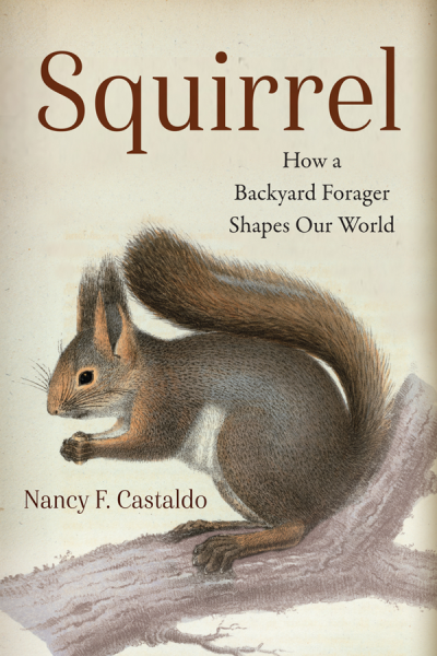 (eBook) Squirrel: How a Backyard Forager Shapes Our World By Nancy Castaldo