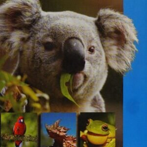 (eBook) Australian Wildlife By Stella Martin
