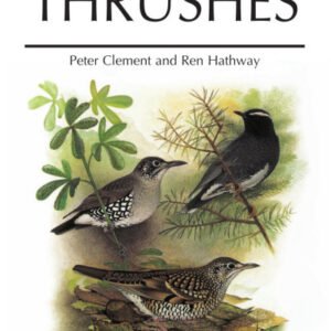 (eBook) Thrushes By Peter Clement