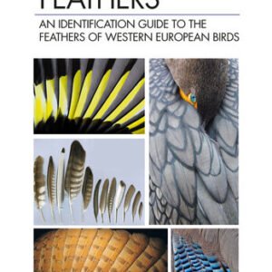 (eBook) Feathers By Cloé Fraigneau