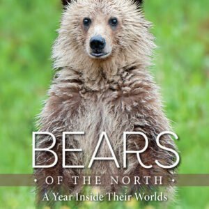 (eBook) Bears of the North: A Year Inside Their Worlds By Lynch