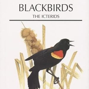 (eBook) New World blackbirds : the icterids By Alvaro Jaramillo