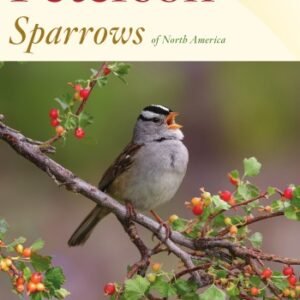 (eBook) Peterson Reference Guide to Sparrows of North America By Rick Wright