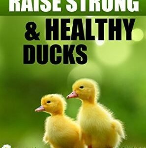 (eBook) How to Raise Strong & Healthy Ducks: Quick Start Guide (How to eBooks Book 49) By HTeBooks