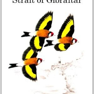 (eBook) Birds of the Strait of Gibraltar By Clive Finlayson
