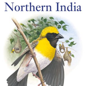 (eBook) Birds of Northern India By Richard Grimmett
