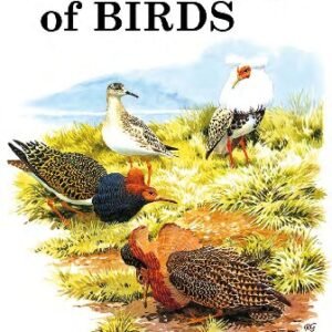 (eBook) A Dictionary of Birds By Bruce Campbell