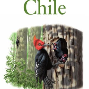 (eBook) Field Guide to the Birds of Chile By Daniel Martínez Piña & Gonzalo González Cifuentes