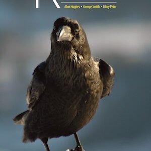 (eBook) Raven By Alun Hughes