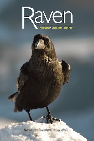 (eBook) Raven By Alun Hughes