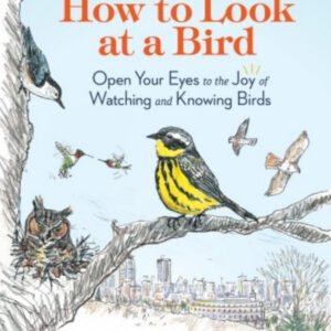 (eBook) How to Look at a Bird By Clare Walker Leslie