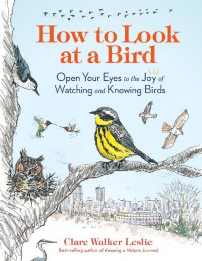 (eBook) How to Look at a Bird By Clare Walker Leslie