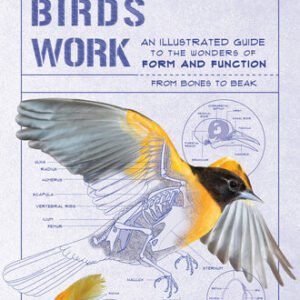 (eBook) How Birds Work : An Illustrated Guide to the Wonders of form and Function ― From Bones to Beak By Taylor Marianne