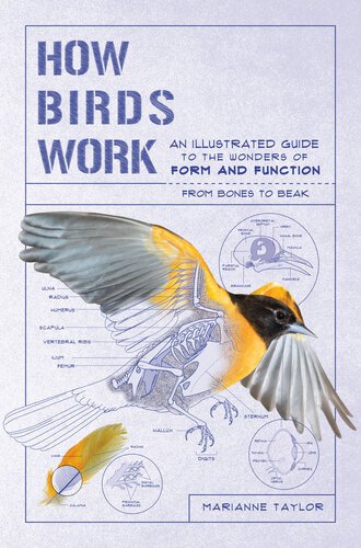 (eBook) How Birds Work : An Illustrated Guide to the Wonders of form and Function ― From Bones to Beak By Taylor Marianne