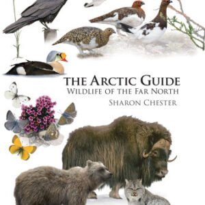 (eBook) The Arctic Guide: Wildlife of the Far North By Sharon R. Chester