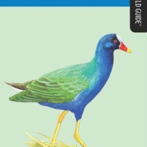 (eBook) Birds of South Carolina: A Falcon Field Guide By Todd Telander