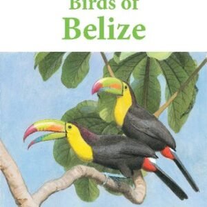 (eBook) Birds of Belize By Steve N. G. Howell