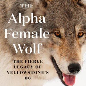 (eBook) The Alpha Female Wolf By Rick McIntyre