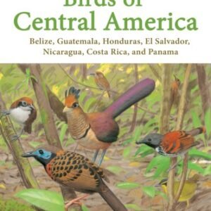 (eBook) Birds of Central America: Belize, Guatemala, Honduras, El Salvador, Nicaragua, Costa Rica, and Panama By Andrew Vallely