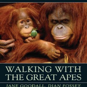 (eBook) Walking with the Great Apes By Sy Montgomery