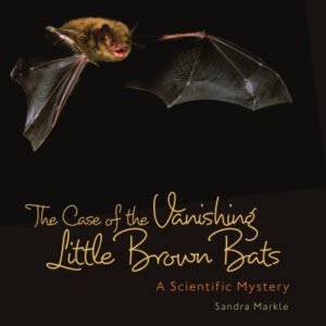 (eBook) The Case of the Vanishing Little Brown Bats: A Scientific Mystery By Markle Sandra
