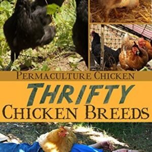 (eBook) Thrifty Chicken Breeds: Efficient Producers of Eggs and Meat on the Homestead (Permaculture Chicken Series Book 3 of 5) by Anna Hess