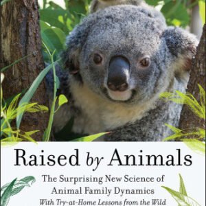 (eBook) Raised by animals: how dolphins bond, why meerkats babysit, and other lessons from families in the wild By Bekoff