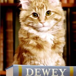 (eBook) Dewey: The Small-Town Library Cat Who Touched the World By Vicki Myron
