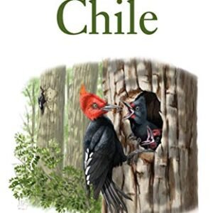 (eBook) Field Guide to the Birds of Chile By Daniel E. Martínez Piña