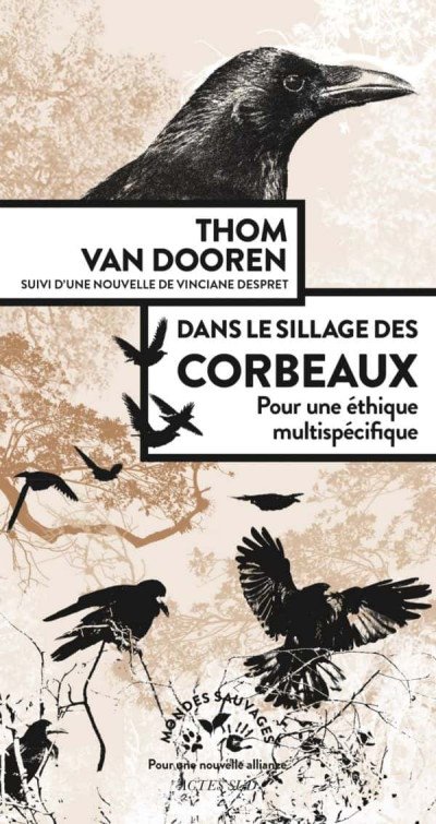 (eBook) Dans le sillage des corbeaux : pour une éthique multispécifique By Thomas Van Dooren