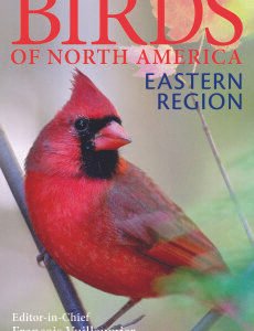 (eBook) Birds of North America. Eastern Region. The Ultimate Photographic Guide By Vuilleumier F.