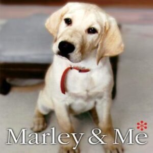 (eBook) Marley & Me: Life and Love With the World's Worst Dog by Grogan John