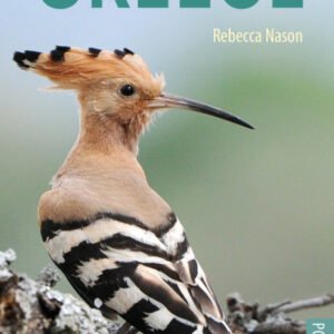 (eBook) Birds of Greece By Rebecca Nason
