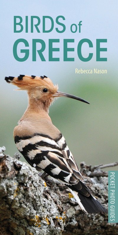(eBook) Birds of Greece By Rebecca Nason