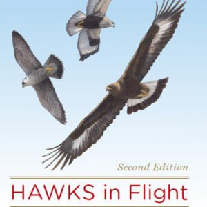 (eBook) Hawks In Flight By Pete Dunne