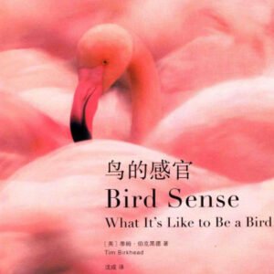 (eBook) 鳥的感官 (Bird Sense -- What It's Like to Be a Bird) By Tim Birkhead (英) 蒂姆·伯克黑德