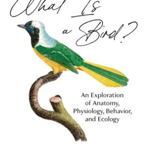 (eBook) What Is a Bird? By Williams