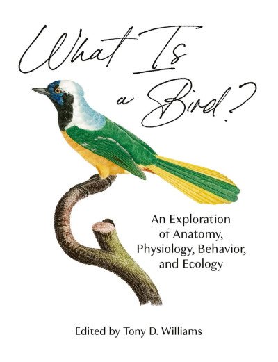 (eBook) What Is a Bird? By Williams