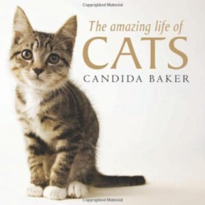 (eBook) The Amazing Life of Cats By Candida Baker