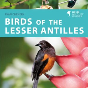 (eBook) Birds of the Lesser Antilles By Ryan Chenery