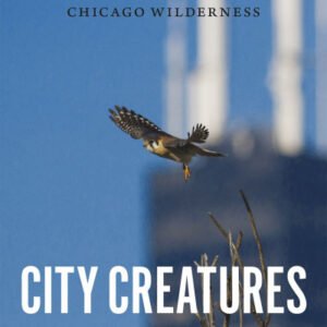 (eBook) City Creatures: Animal Encounters in the Chicago Wilderness By Gavin Van Horn (editor)