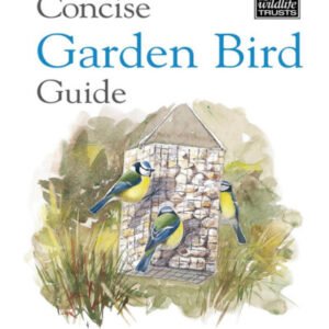 (eBook) Concise Garden Bird Guide By Bloomsbury