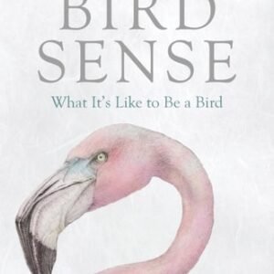 (eBook) Bird Sense -- What It's Like to Be a Bird By Tim Birkhead