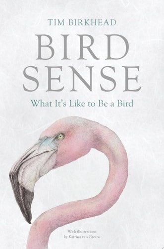 (eBook) Bird Sense -- What It's Like to Be a Bird By Tim Birkhead