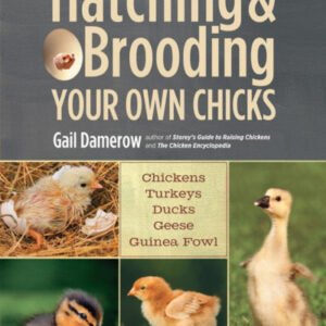 (eBook) Hatching & Brooding Your Own Chicks by Gail Damerow