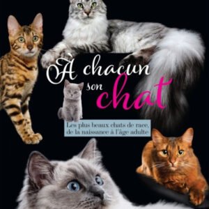 (eBook) A chacun son chat By Hughes-Charles Dubois