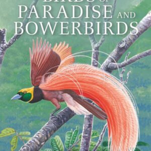 (eBook) Birds of Paradise and Bowerbirds By Phil Gregory