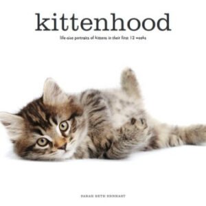(eBook) Kittenhood By Sarah Beth Ernhart