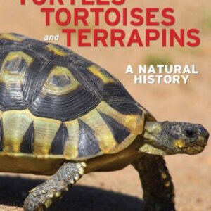 (eBook) Turtles, tortoises and terrapins :A Natural History By Ronald Isaac Orenstein