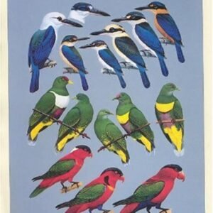 (eBook) The Birds of Northern Melanesia By Ernst Mayr